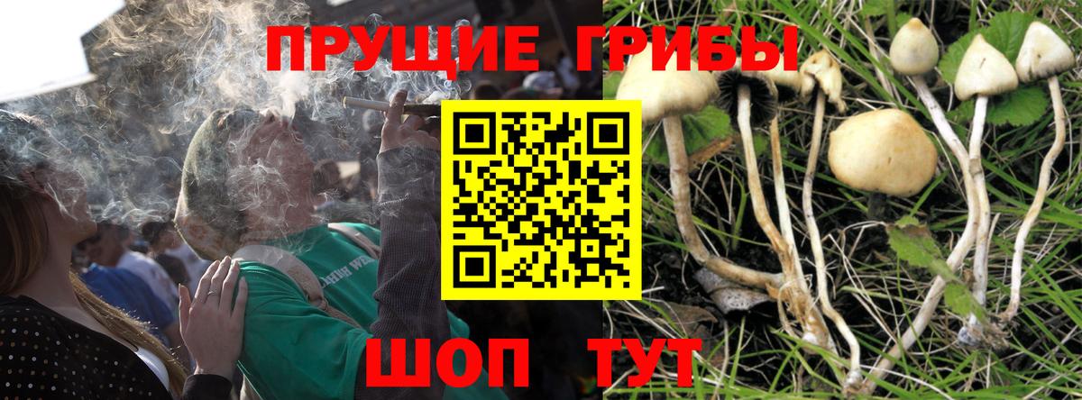Псилоцибиновые грибы мицелий  купить наркотики цена  Вход с VPN  Оренбург  Псилоцибиновые грибы ЛСД 